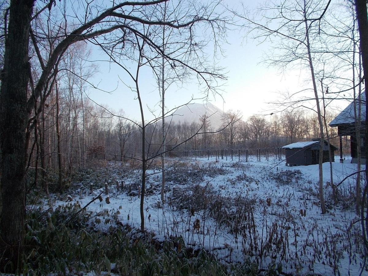 Niseko Shirokuma Cottage Bagian luar foto