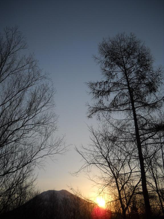 Niseko Shirokuma Cottage Bagian luar foto